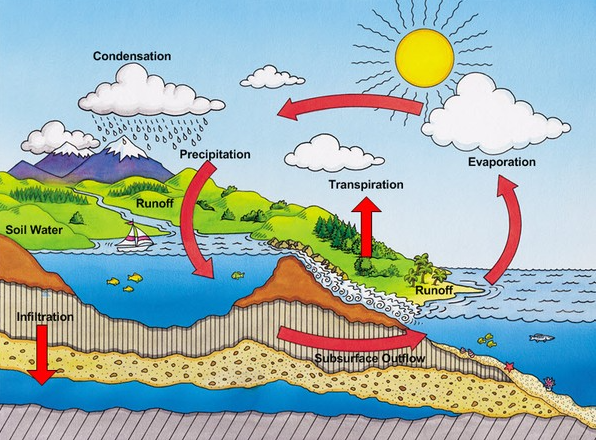 Nước ngầm là gì? Ô nhiễm nước ngầm và cách tìm mạch nước ngầm